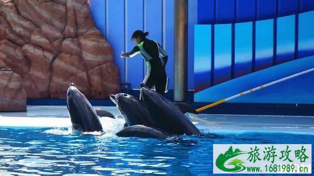 日本游乐园排名2022 日本游乐园排名2022