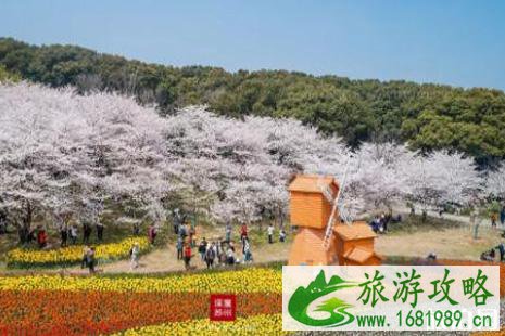 2022苏州天气什么时候晴 2022苏州春游好去处推荐