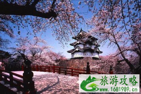 日本赏樱路线2022