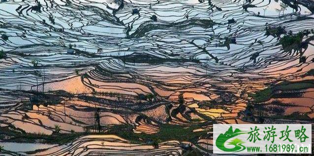 国内自驾游经典路线图 国内自驾游经典路线图