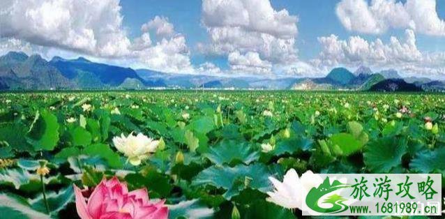 国内自驾游经典路线图 国内自驾游经典路线图