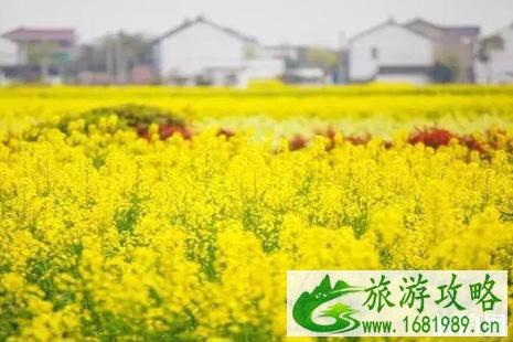 2022苏杭旅游攻略春季赏花推荐 2022苏杭旅游攻略春季赏花推荐