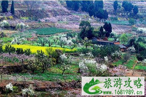 2022广汉周边赏花景点 广汉赏花好去处