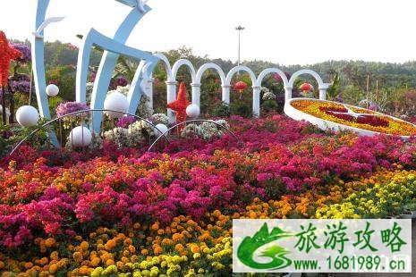 2022深圳的花展在哪里 深圳花展什么时候 2022深圳的花展在哪里 深圳花展什么时候