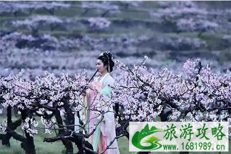 2022雪窦山花朝节3月21日开启 2022雪窦山花朝节3月21日开启