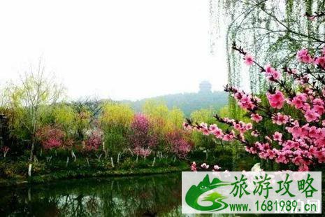 徐州2022三八妇女节景点优惠名单