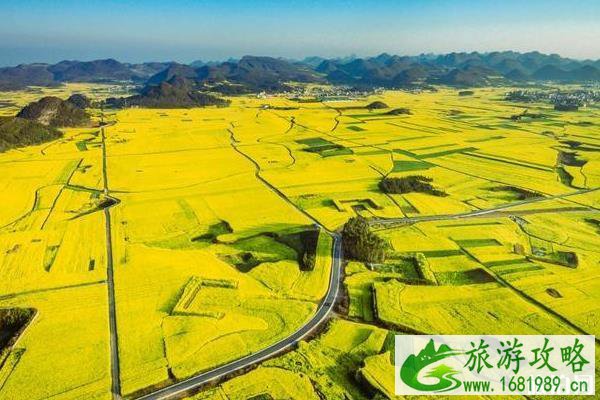 2022中国油菜花赏花地图