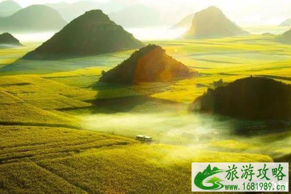 2022中国油菜花赏花地图
