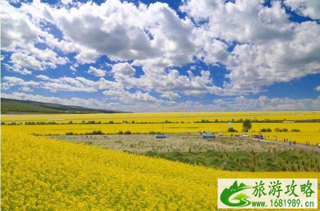 2022中国油菜花赏花地图
