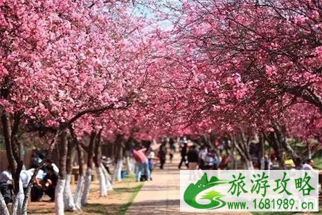 广州清远旅游卡在哪办理