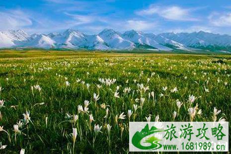 2022年那拉提景区优惠政策汇总