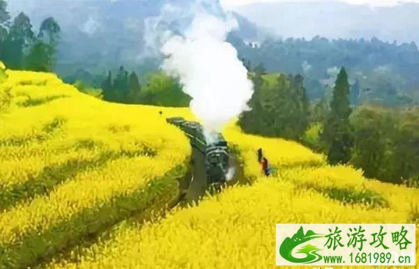 2022年三月赏花去哪里 2022年三月赏花去哪里