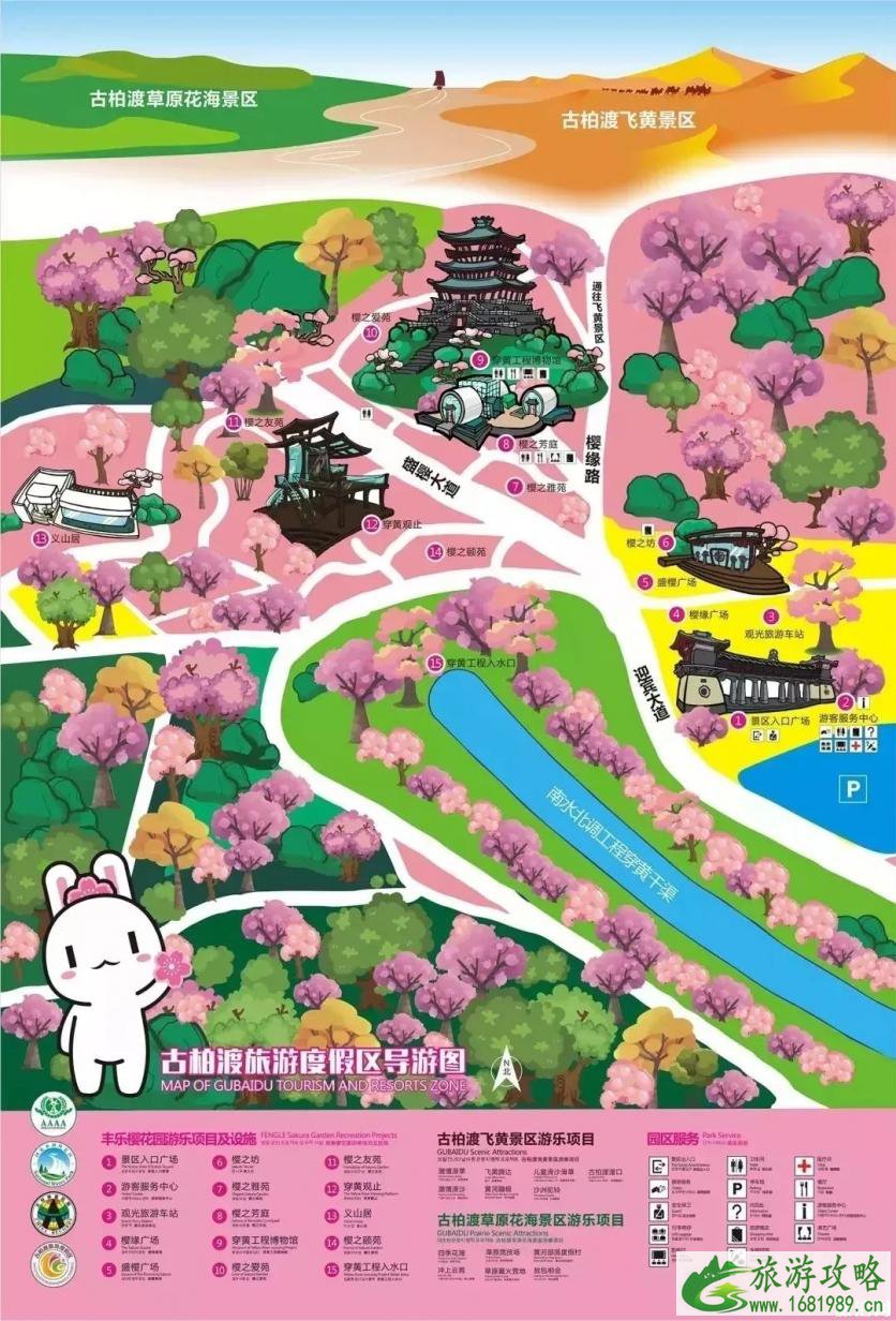 2022第四届荥阳古柏渡黄河樱花节 时间+地点