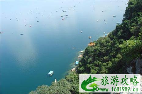 2022抚仙湖樱花节是什么时候 时间+地点 2022抚仙湖樱花节是什么时候 时间+地点