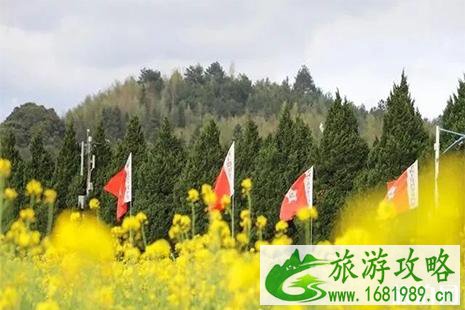 2022古田油菜花旅游文化节3月1日开启