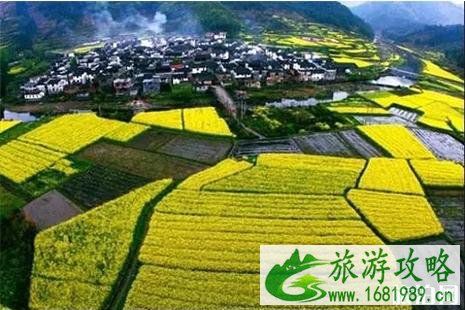 二三月份适合去哪旅游