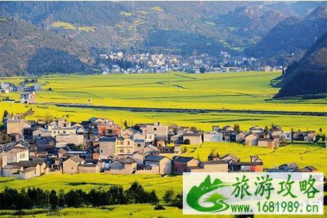 二三月份适合去哪旅游