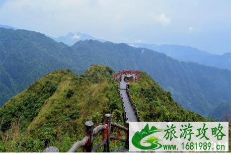 2022南宁大明山杜鹃花开了 门票+花期