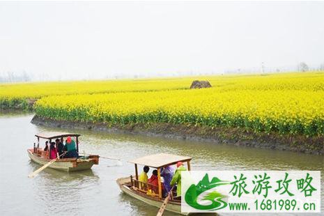 潼南油菜花节游玩攻略 潼南油菜花节游玩攻略