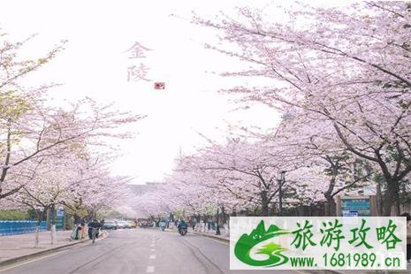 全球八大赏花圣地