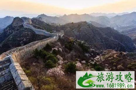 河北杏花什么时候开 河北杏花观赏地推荐