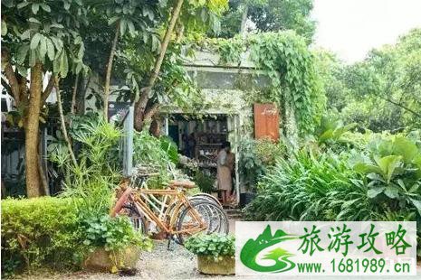 深圳哪里拍照好看