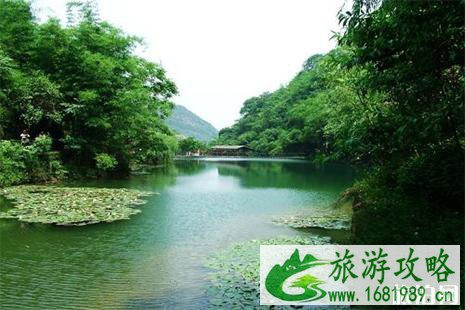 自贡赏花的地方 踏春指南 自贡赏花的地方 踏春指南