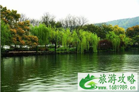 哪些地方下雨天更好玩