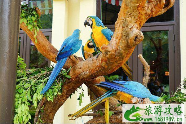 广州长隆2日游攻略 广州长隆2日游攻略