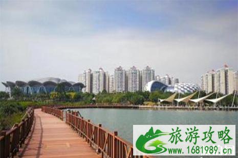 防城港赏花好去处 防城港赏花好去处