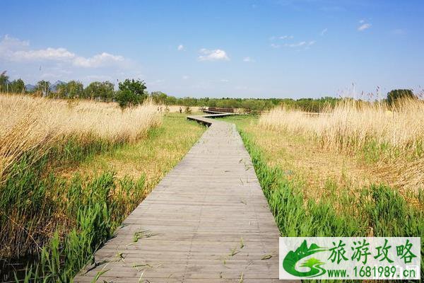 春季国内骑行路线推荐 春季国内骑行路线推荐