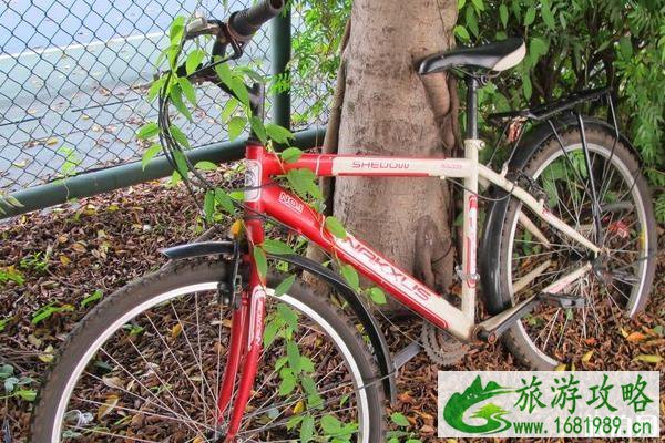 春季国内骑行路线推荐 春季国内骑行路线推荐