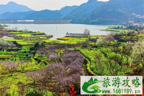 黄石沼山村赏花推荐 黄石沼山村赏花推荐