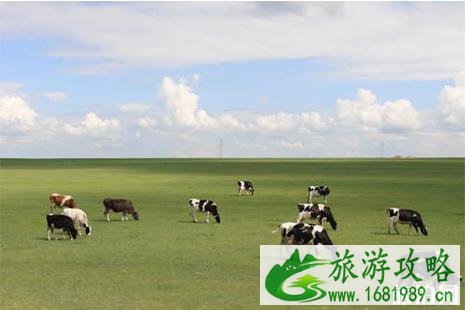 呼伦贝尔大草原北线自驾游旅游攻略 呼伦贝尔大草原北线自驾游旅游攻略