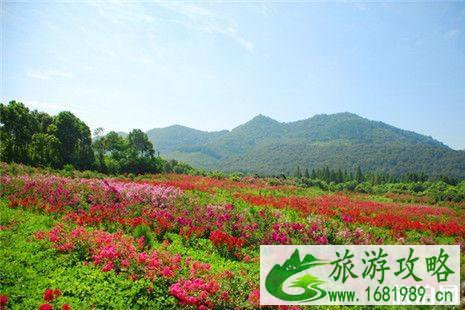 2022深圳湾公园流花山开放时间+票价+交通 2022深圳湾公园流花山开放时间+票价+交通