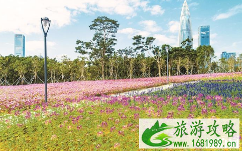 2022深圳湾公园流花山开放时间+票价+交通 2022深圳湾公园流花山开放时间+票价+交通