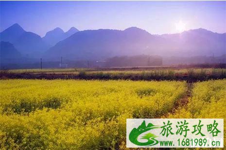 韶关春天赏花攻略 韶关春天赏花地点盘点 韶关春天赏花攻略 韶关春天赏花地点盘点