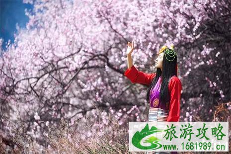 2022林芝桃花节3月29日开幕 林芝桃花游玩线路 2022林芝桃花节3月29日开幕 林芝桃花游玩线路