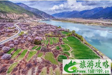 2022林芝桃花节3月29日开幕 林芝桃花游玩线路 2022林芝桃花节3月29日开幕 林芝桃花游玩线路