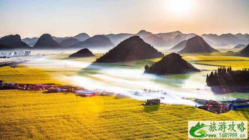 三月国内哪里适合赏花 2022国内赏花地点推荐+花期 三月国内哪里适合赏花 2022国内赏花地点推荐+花期