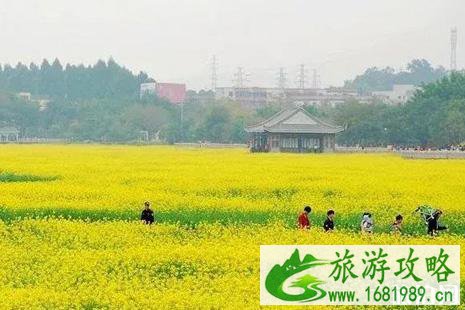 2022广东赏花攻略