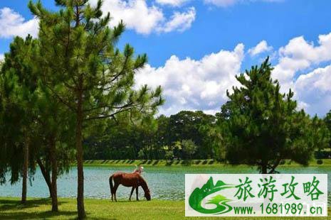 2022越南大叻有什么好玩的地方 2022越南大叻有什么好玩的地方