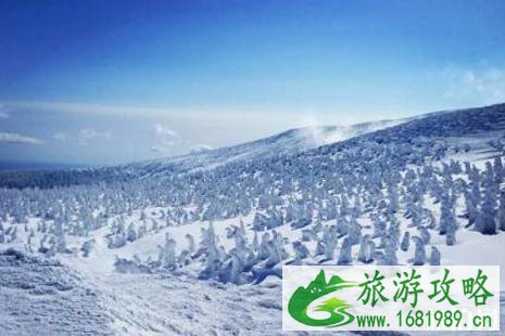 2022藏王树冰攻略