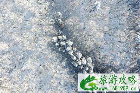2022藏王树冰攻略