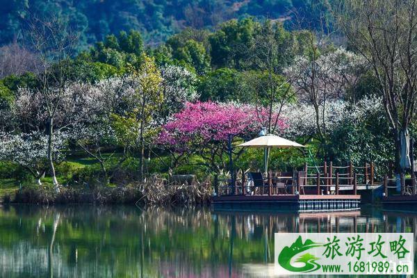 2022苏州春节赏花的地方有哪些 2022苏州春节赏花的地方有哪些