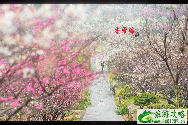 2022苏州春节赏花的地方有哪些 2022苏州春节赏花的地方有哪些