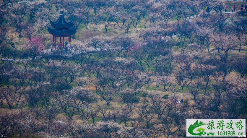 2022苏州春节赏花的地方有哪些 2022苏州春节赏花的地方有哪些