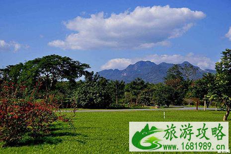 过年去哪里玩比较好 过年去哪里玩比较好