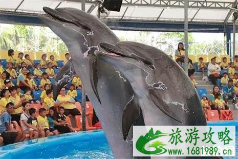 2022普吉岛亲自游海岛推荐 2022普吉岛亲自游海岛推荐