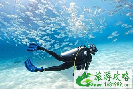 2022格兰岛怎么去 格兰岛有什么好玩的 2022格兰岛怎么去 格兰岛有什么好玩的